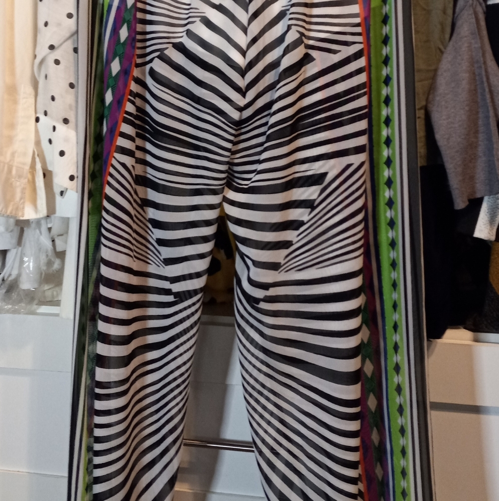Chiffon palazzo pant
